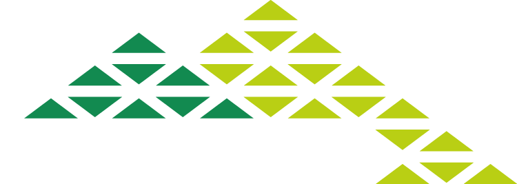 Franz Berg-
